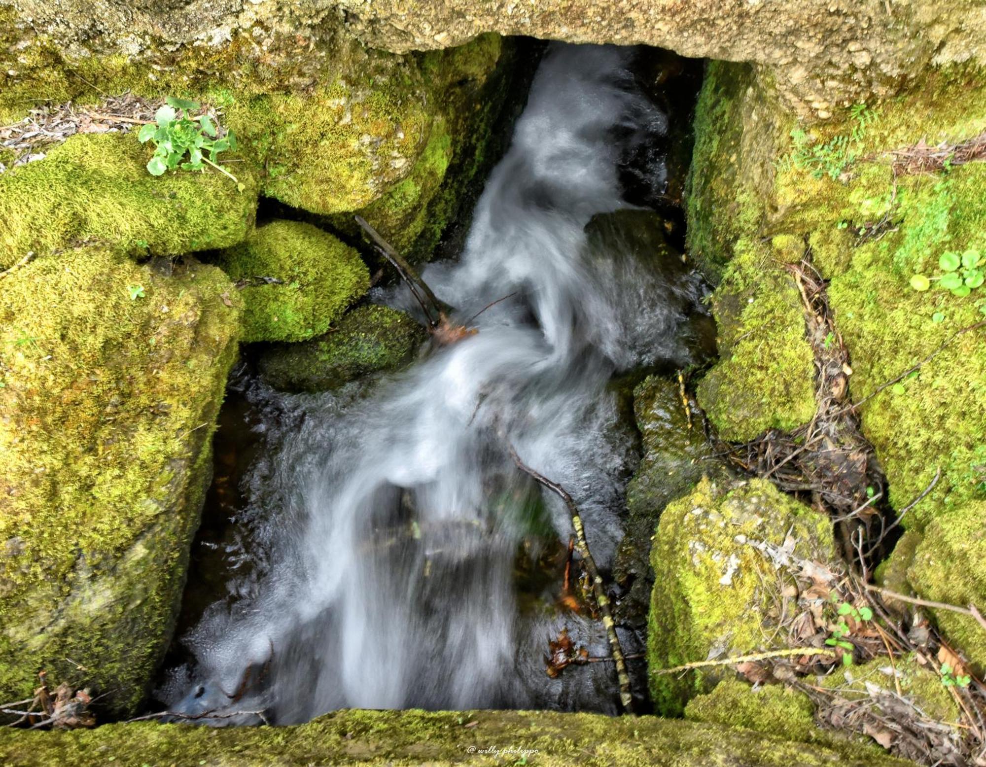Quinta Do Moinho Turismo De Natureza Aldeia Vicosa Zewnętrze zdjęcie